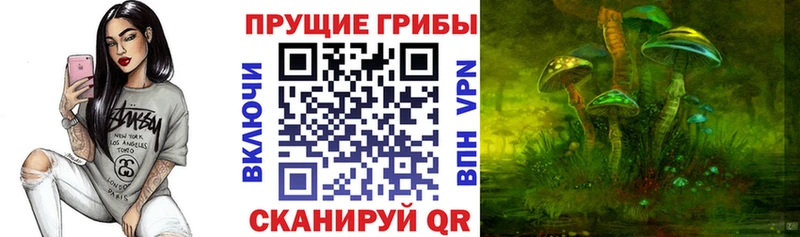 Галлюциногенные грибы мухоморы  Олонец 